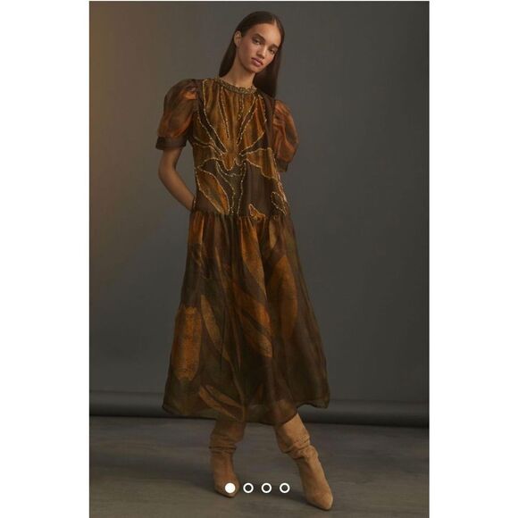 Anthropologie x Roopa Pemmaraju Dresses & Skirts - Anthropologie x Roopa Pemmaraju Beaded Silk Organza Maxi Dress Size XL
